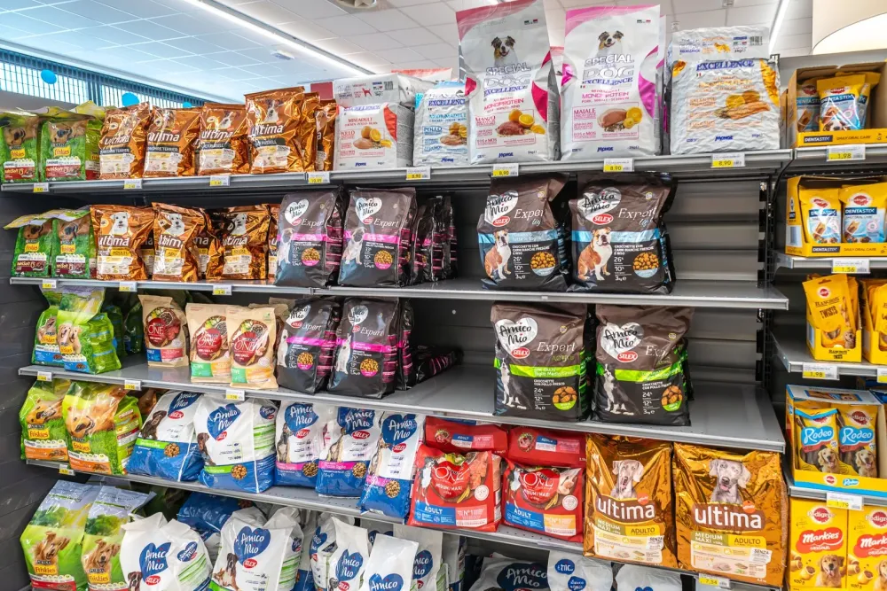 Alimentation chien à Belleville